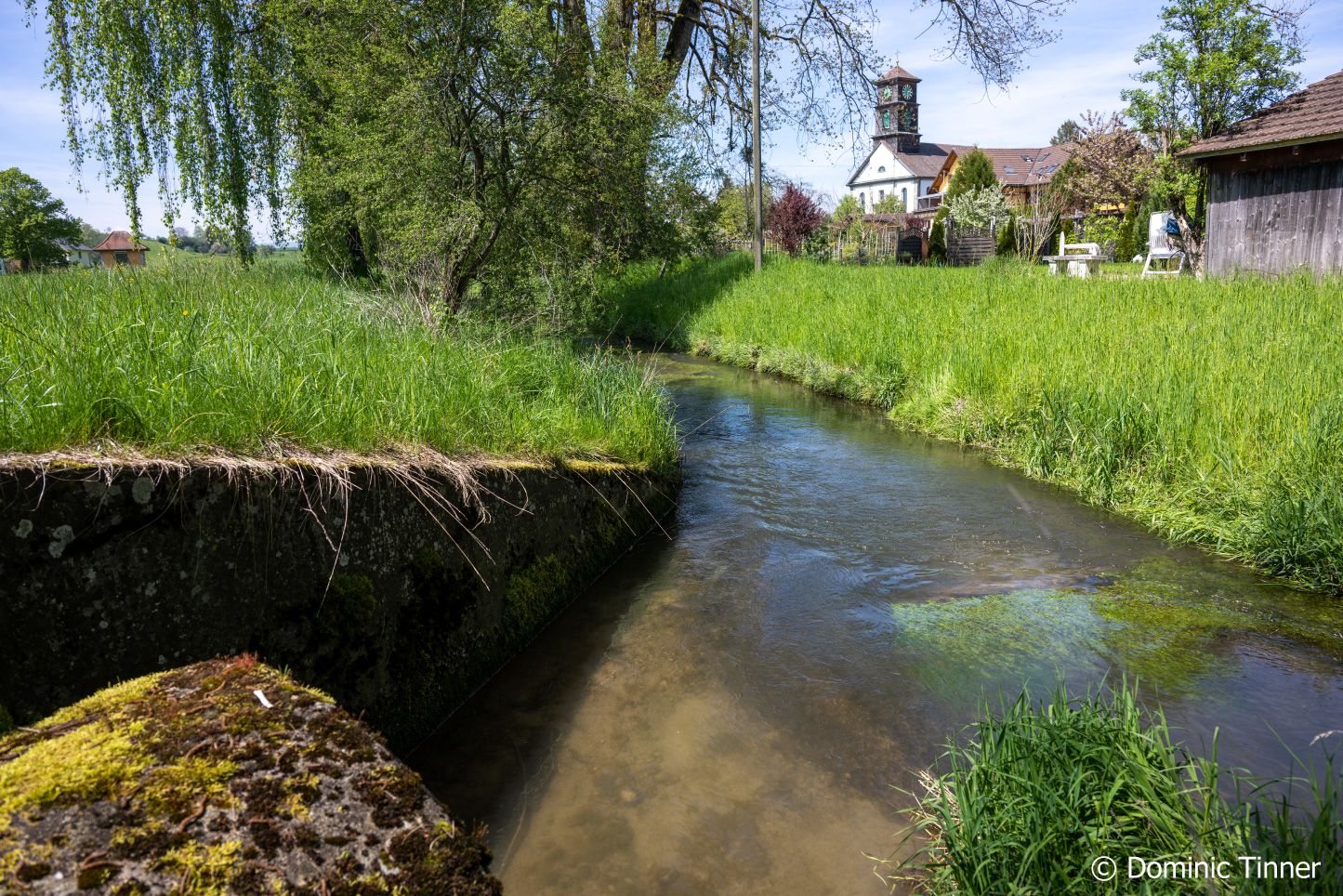 Nahaufnahme vom Geisslibach mit Beton an der Seite vom Bach.