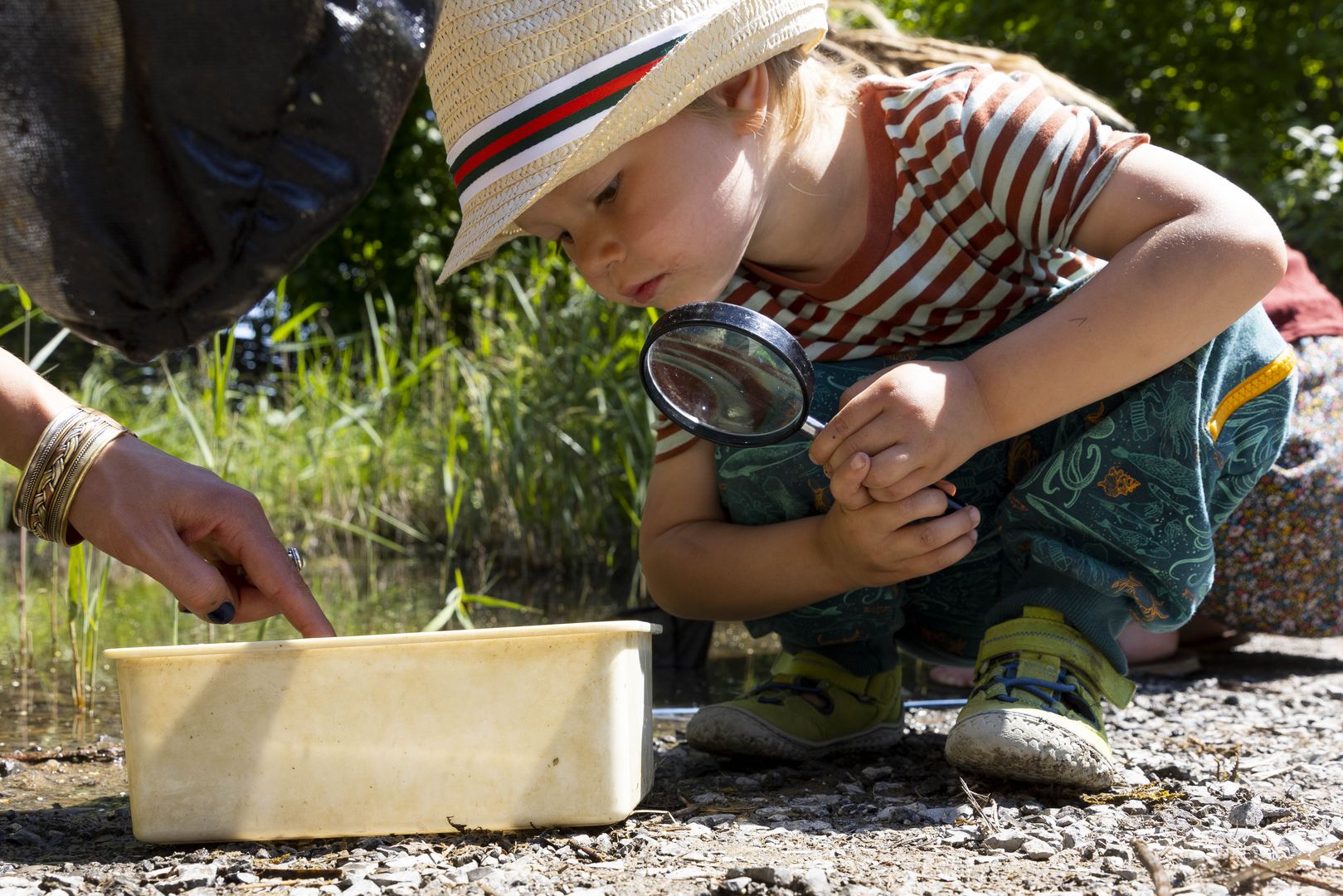 Kind mit Lupe betrachtet gekescherte Wassertiere