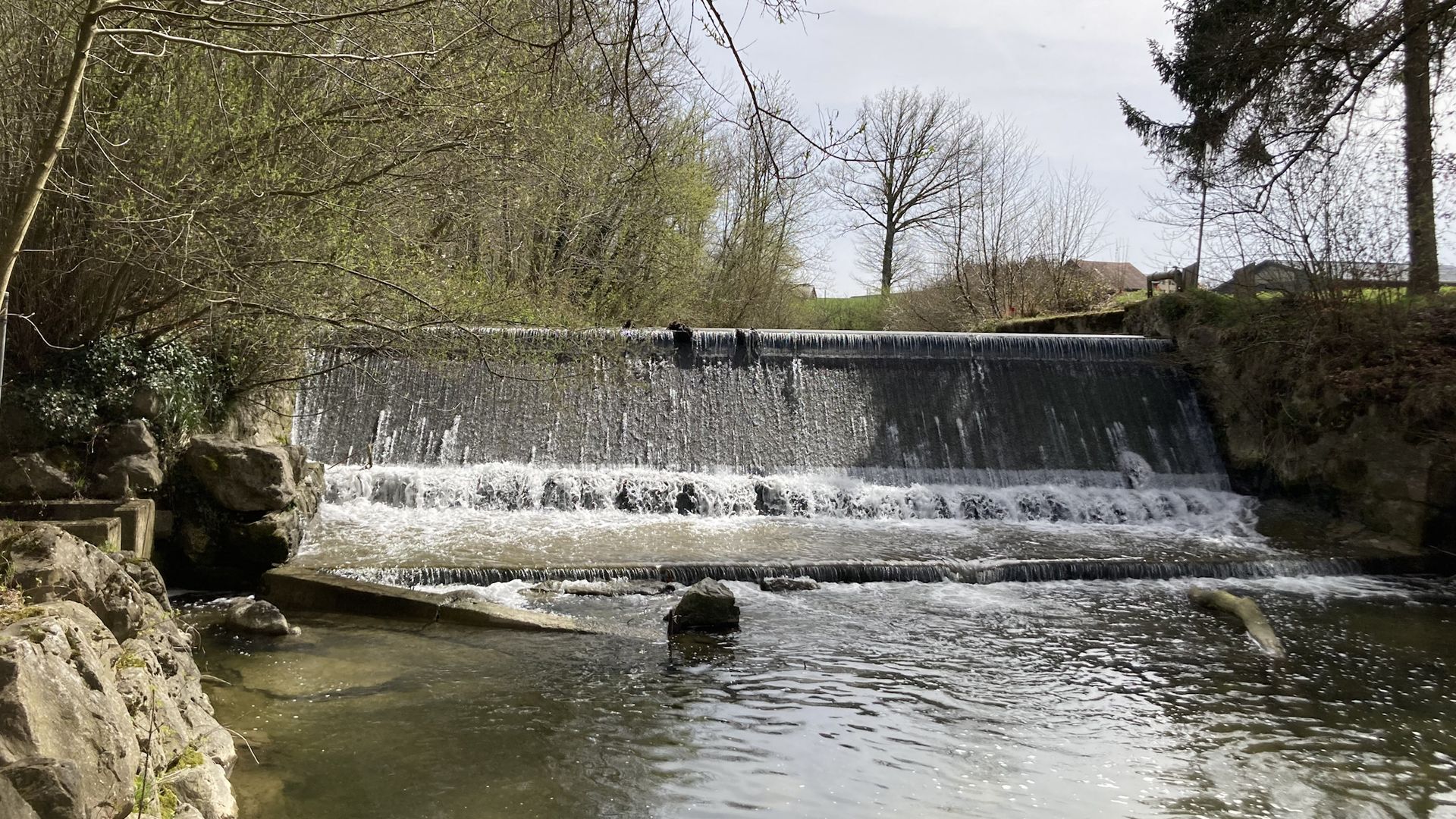 altes Stauwehr in einem Fluss, über ein Meter hoch