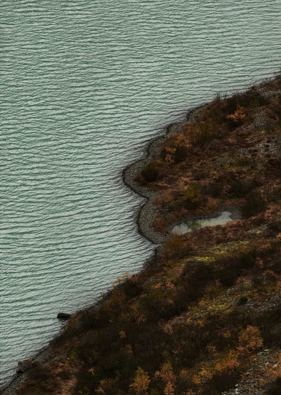 Gletscherseeufer mit verschiedenen Pflanzen im Herbst