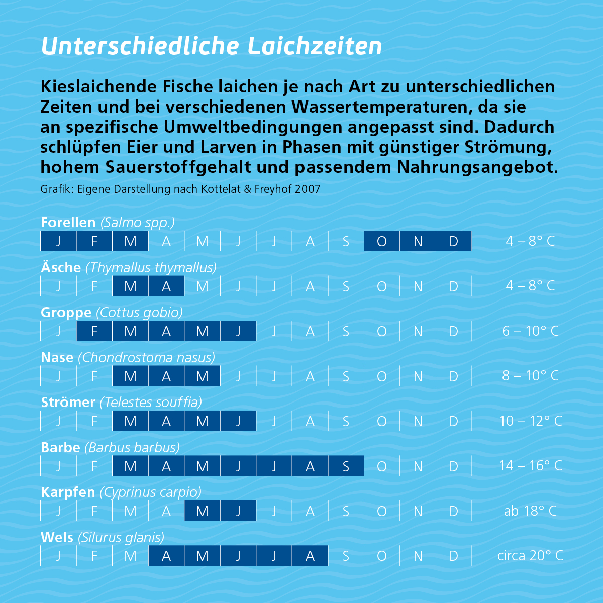Graphik Pflanzliche Vielfalt von Gletschervorfeldern mit verschiedenen Pflanzengesellschaften