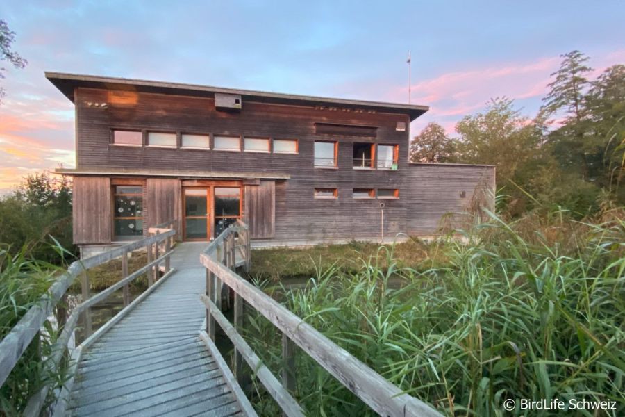 Luftaufnahme des Neeracherrieds mit Naturschutzzentrum, Moorfläche, See, Weihern und Steg durch das Gebiet