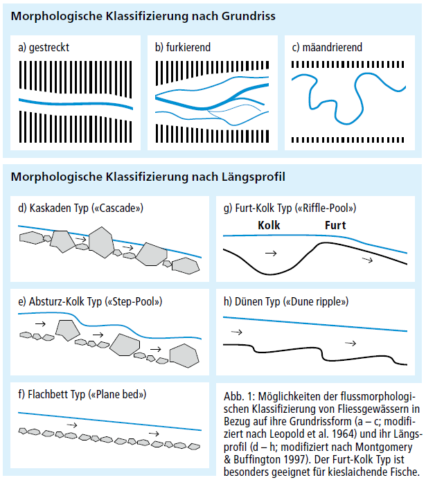 Morphologische Klassifizierung nach Längsprofil 