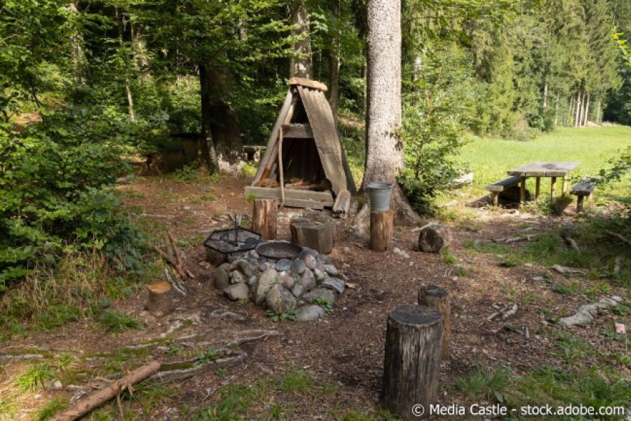 Stein-Feuerstelle mit Grill im Wald mit überdachten Holzscheiten, Tisch mit Bänken