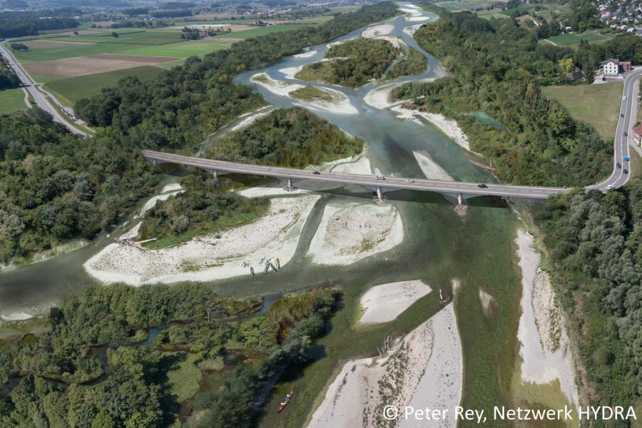 Visualisierung, wie die Thur nach einer Aufweitung und Revitalisierung aussehen könnte.