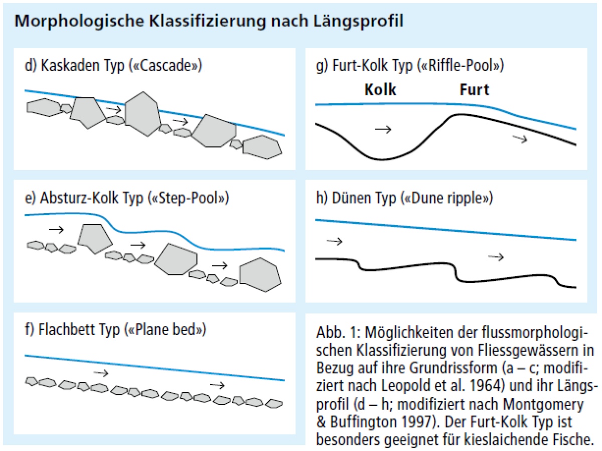 Morphologische Klassifizierung nach Längsprofil 