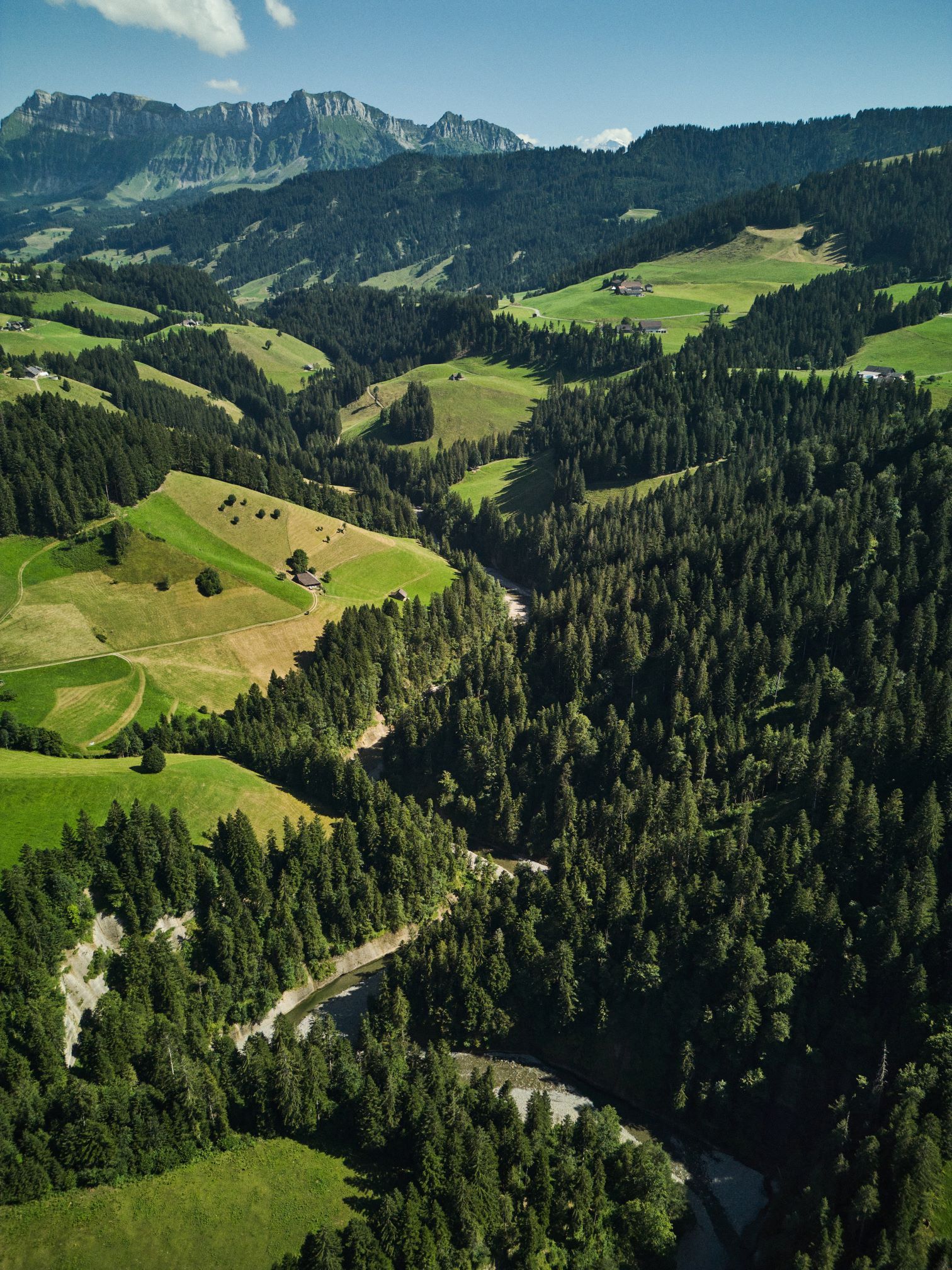 Natürliche Prozesse als Grundlage für gute Kieslaichplätze: Der natürliche Sedimenttransport vom Ober- in den Unterlauf