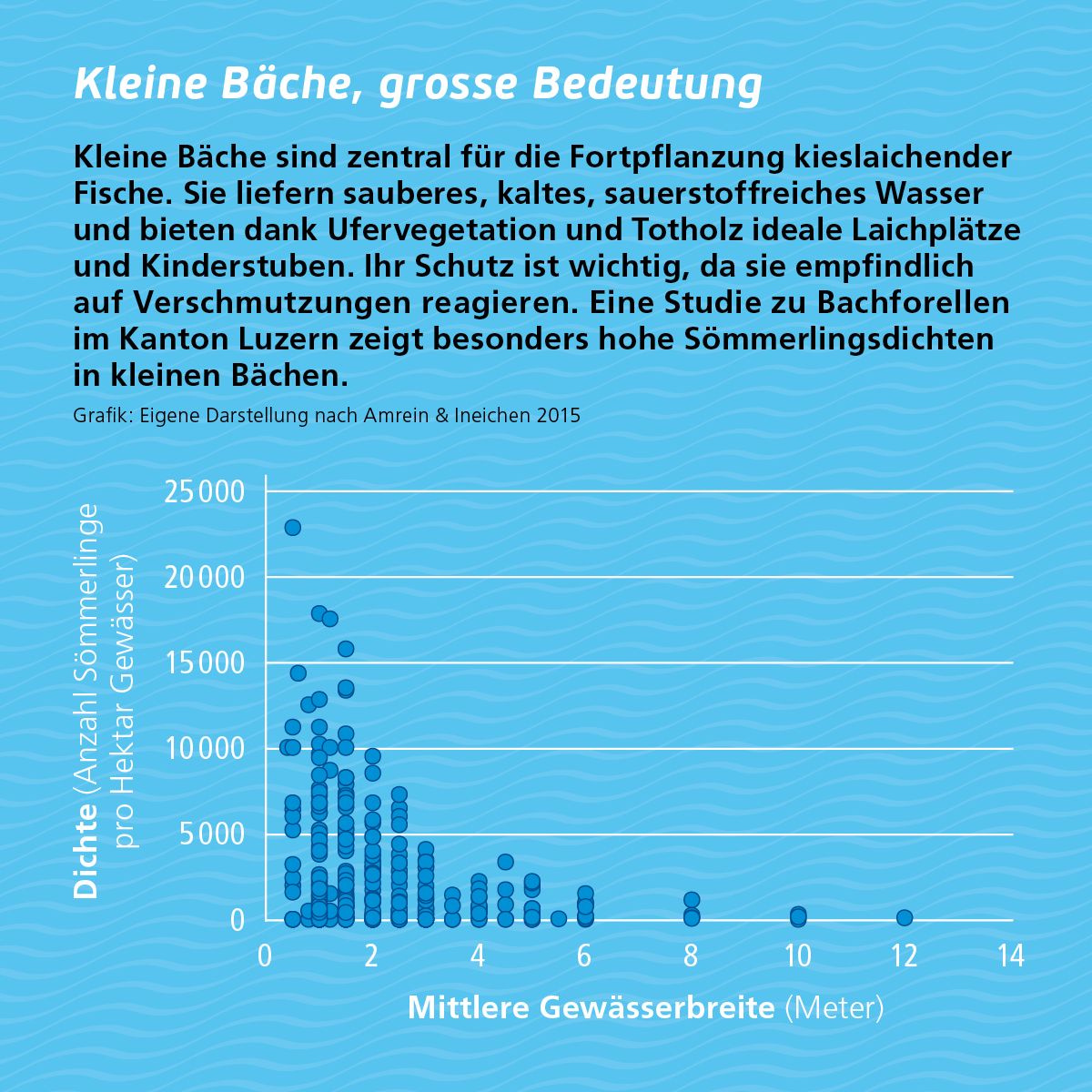 Diagramm seltene Wasserinsekten im Trift-Gebiet